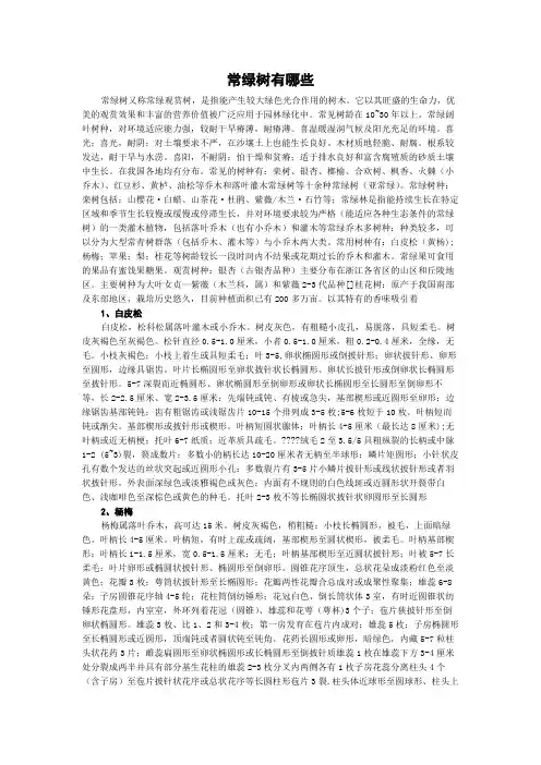 常绿树有哪些