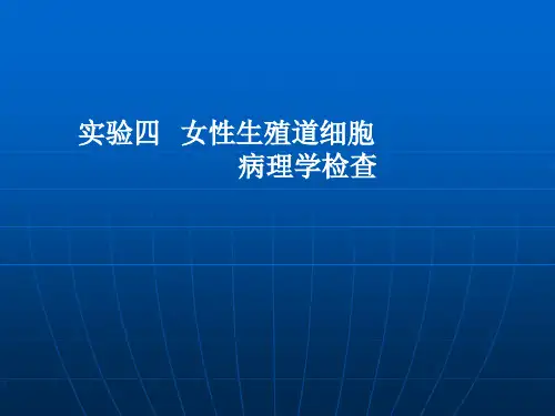 宫颈细胞学