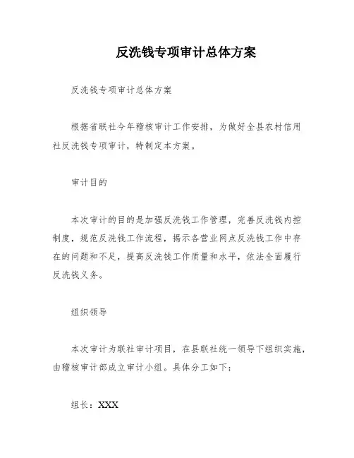 反洗钱专项审计总体方案