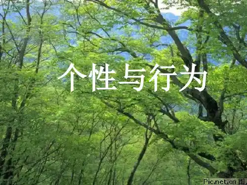 组织行为学课件-个性与行为
