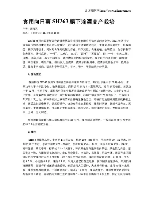 食用向日葵SH363膜下滴灌高产栽培