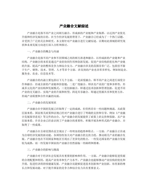 产业融合文献综述