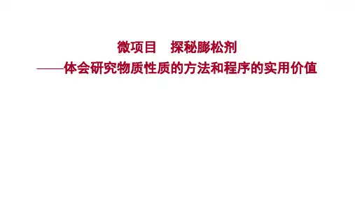 第1章 微项目 探秘膨松剂——体会研究物质性质的方法和程序的实用价值 课件