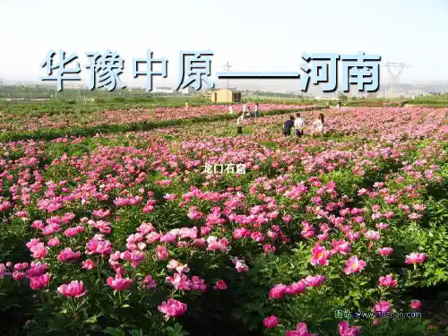 介绍河南的PPT