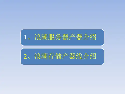 浪潮产品(服务器、存储)