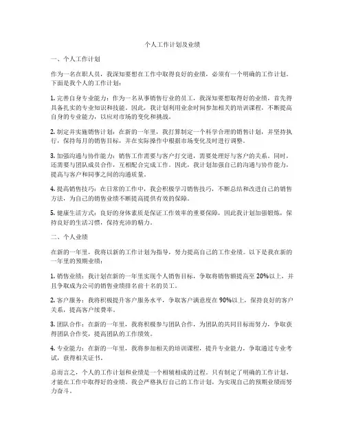个人工作计划及业绩