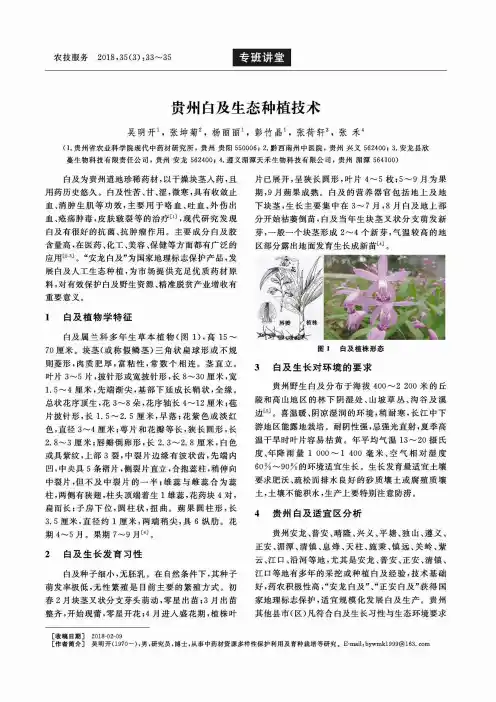 贵州白及生态种植技术