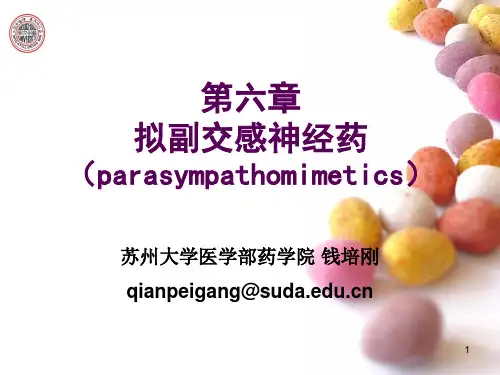 6第六章胆碱受体激动药抗胆碱酯酶药和胆碱酯酶复活药.pptx