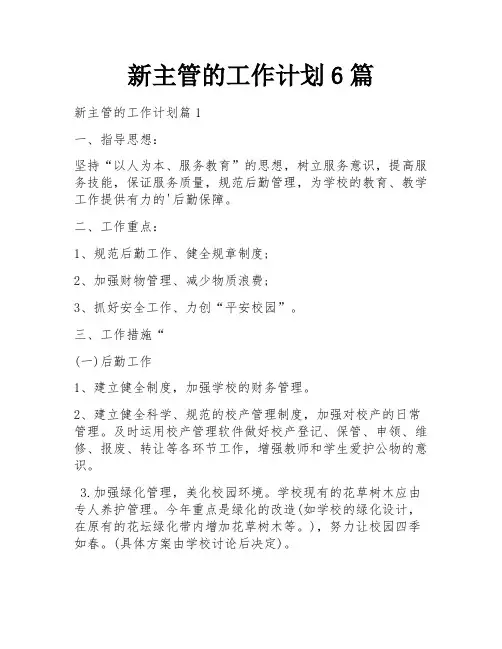新主管的工作计划6篇