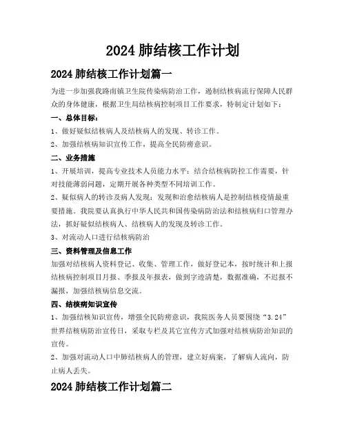 2024肺结核工作计划