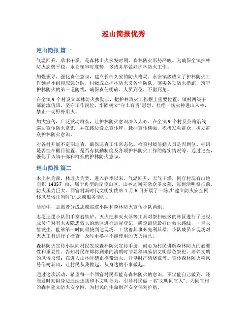 巡山简报优秀范文