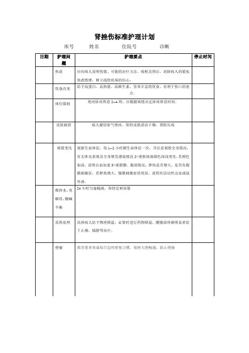 肾挫伤标准护理计划