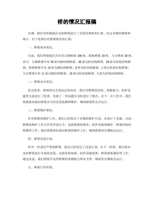桥的情况汇报稿