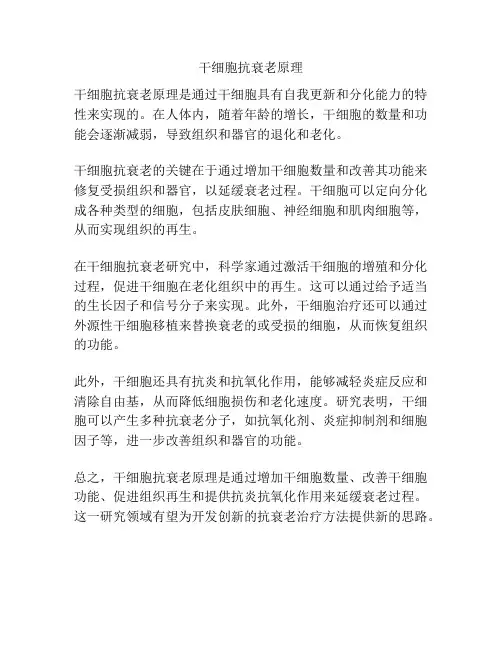 干细胞抗衰老原理
