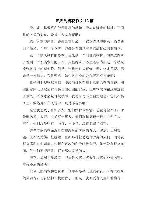 冬天的梅花作文12篇