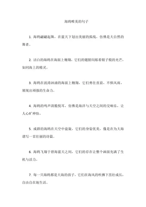海鸥唯美的句子