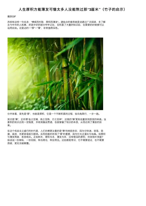 人生厚积方能薄发可惜太多人没能熬过那“3厘米”（竹子的启示）