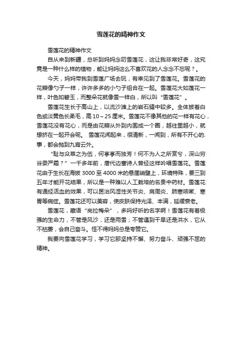 雪莲花的精神作文