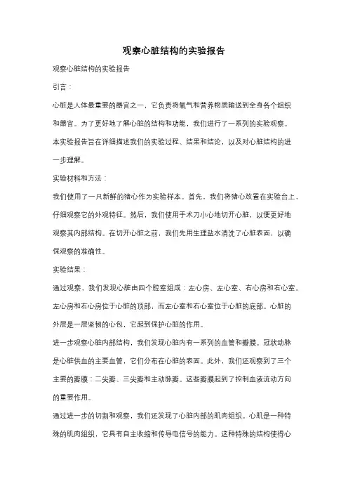 观察心脏结构的实验报告