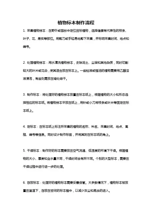 植物标本制作流程