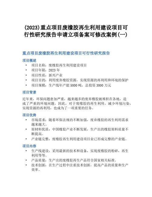 (2023)重点项目废橡胶再生利用建设项目可行性研究报告申请立项备案可修改案例(一)