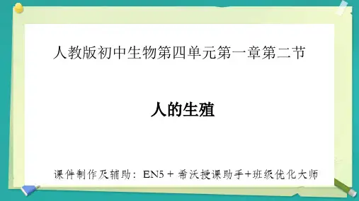 人的生殖+课件2023--2024学年人教版生物七年级下册