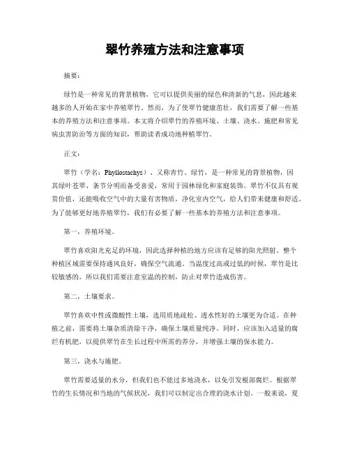 翠竹养殖方法和注意事项