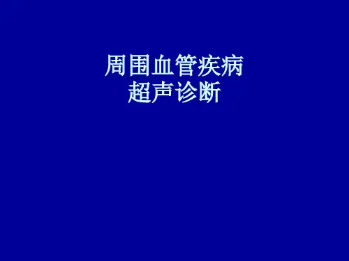周围血管超声检查(完整)