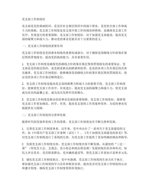 党支部工作制度好