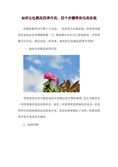 如何让杜鹃花四季开花,四个步骤帮你完美实现