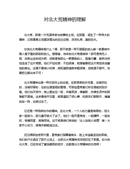 对北大荒精神的理解
