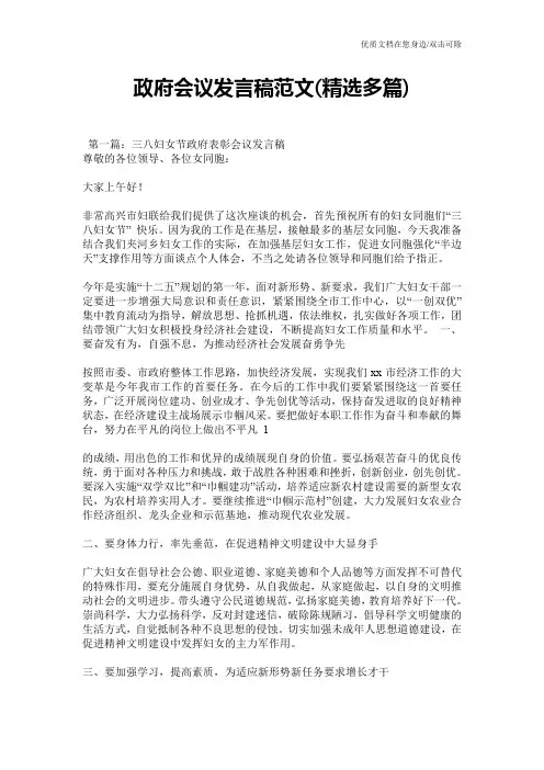 政府会议发言稿范文(精选多篇)