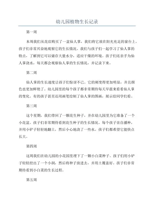 幼儿园植物生长记录