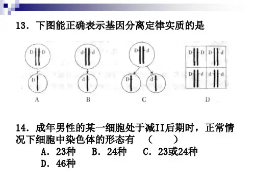 基因突变和基因重组课件 公开课一等奖课件PPT