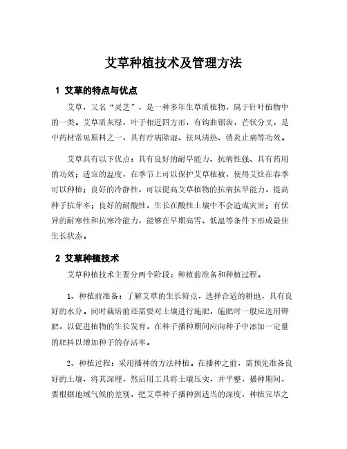 艾草种植技术及管理方法