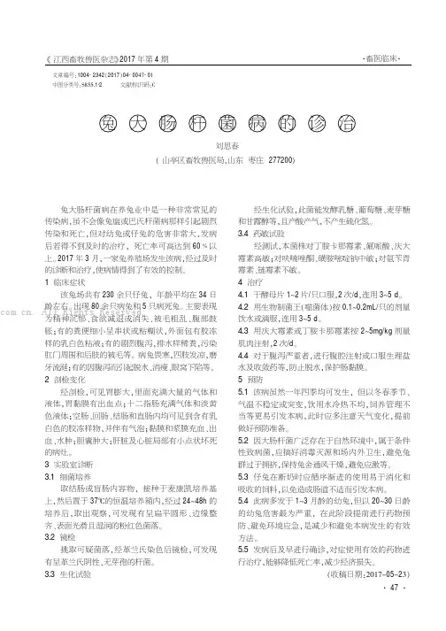 兔大肠杆菌病的诊治