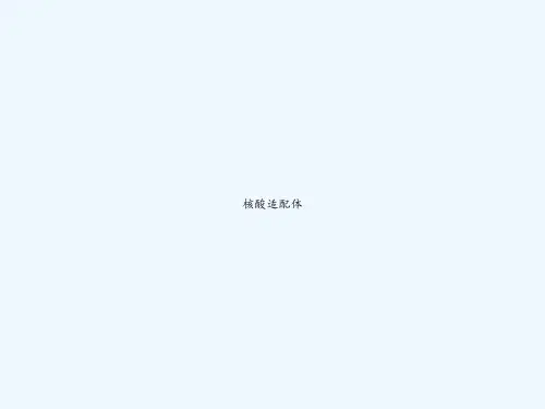核酸适配体 PPT