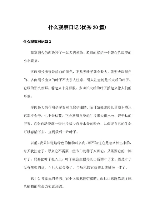 什么观察日记(优秀20篇)