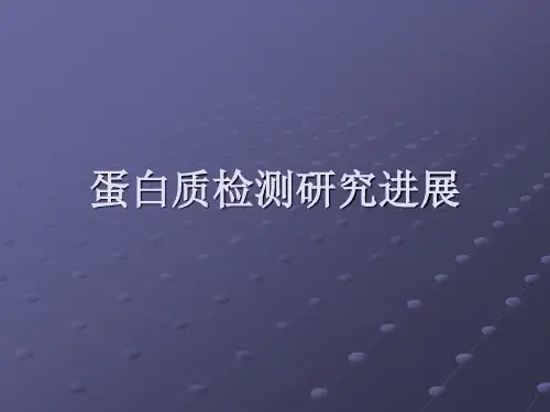 蛋白质检测方法