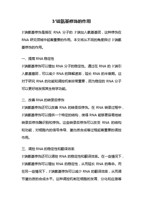 3'端氨基修饰的作用