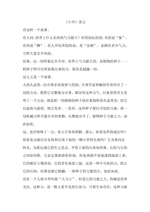 《小草》课文