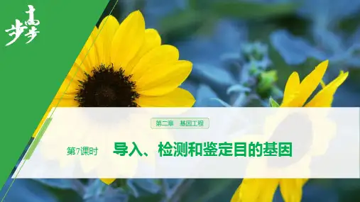 生物苏教版选择性必修3第二章 第7课时