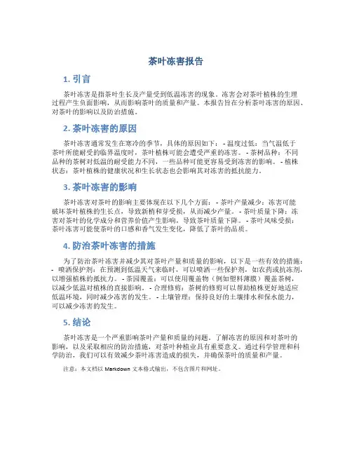 茶叶冻害报告