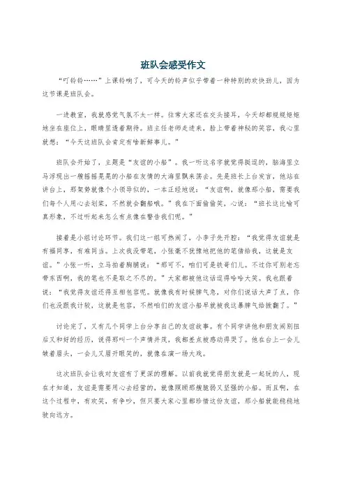 班队会感受作文