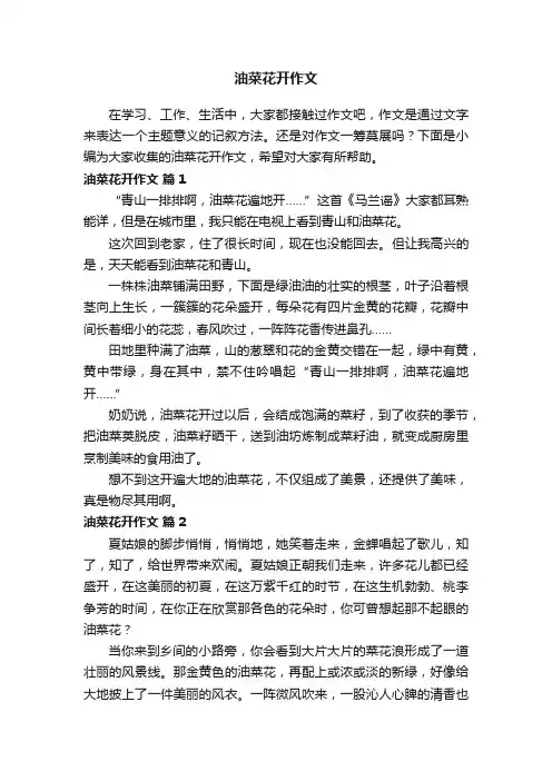 油菜花开作文（精选45篇）