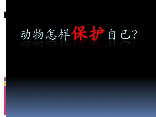幼儿园《动物的保护色 (1)》PPT课件