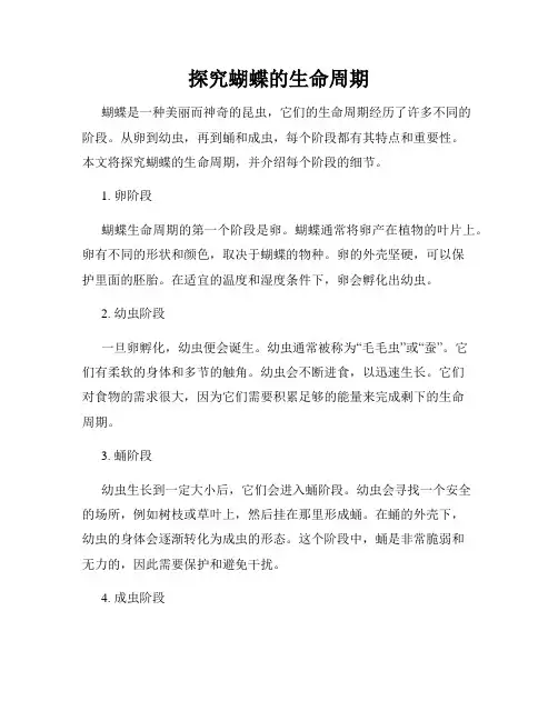 探究蝴蝶的生命周期