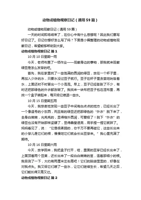 动物或植物观察日记（通用59篇）