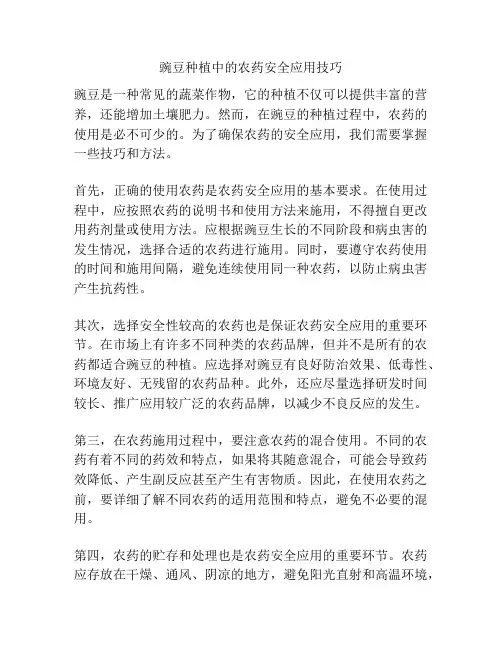 豌豆种植中的农药安全应用技巧