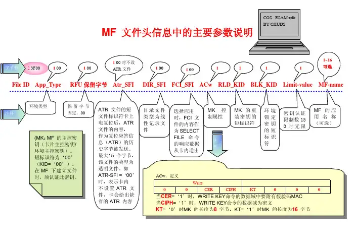 COS系统文件结构详解